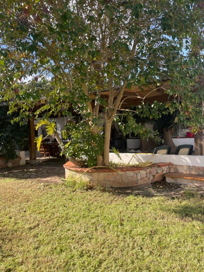 Villa Roy House Alguer Exterior foto